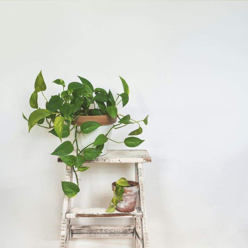 趣味工房ジャパン - Image 4